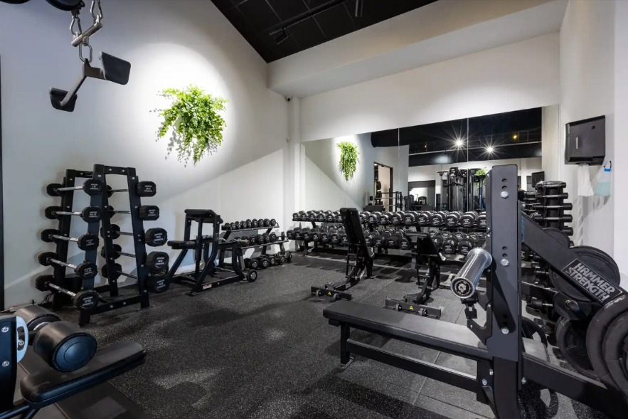 Overzicht van de vrije gewichtenzone met halterbanken, dumbbells en krachtapparatuur bij Vital-GO.